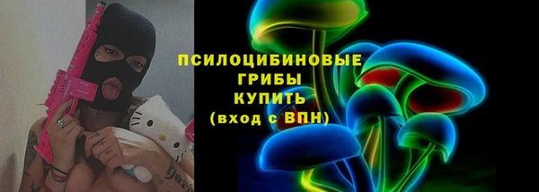 ГАЛЛЮЦИНОГЕННЫЕ ГРИБЫ Магадан