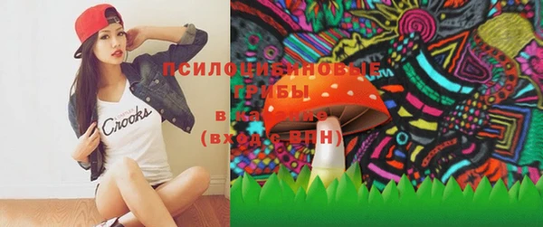 ГАЛЛЮЦИНОГЕННЫЕ ГРИБЫ Магадан